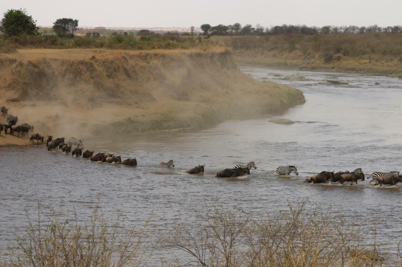 Gnu Mara River Camp Serengeti Exterior photo